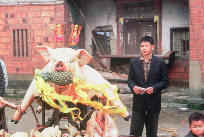 Decorated Honorable Pigs